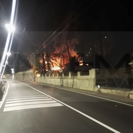 Ospedaletti: a fuoco due palme nella notte in via Giulio Cesare, doppio intervento dei Vigili del Fuoco (Foto)