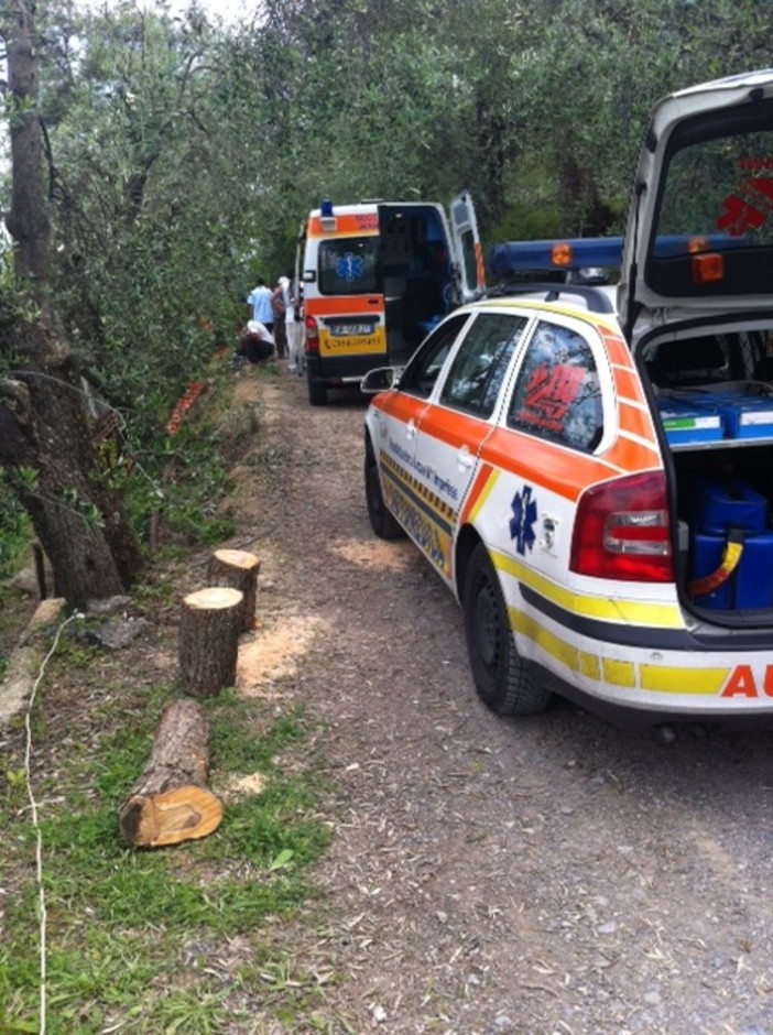 Camporosso: colto da ictus mentre lavora in campagna, in coma 50 enne di Ventimiglia Camporosso: colto da ictus mentre lavora in campagna, in coma 50 enne di Ventimiglia