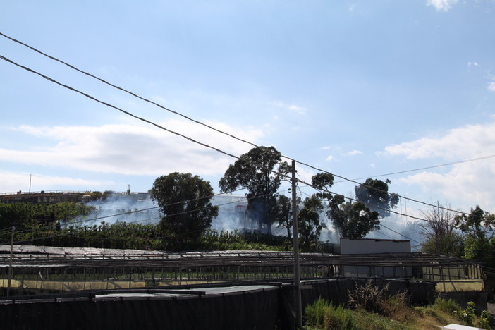 Le prime immagini dal luogo dell'incendio