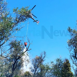 Pietrabruna: incendio di ieri, è bruciato circa un ettaro tra sterpaglie e oliveti. Le foto dell'intervento