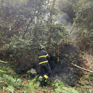 Il pronto intervento dei Vigili del Fuoco Il pronto intervento dei Vigili del Fuoco