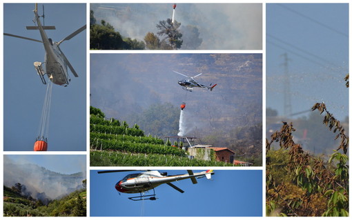 Terzorio: incendio di località Abaia sotto controllo, distrutti 6 ettari ma la bonifica proseguirà anche in serata