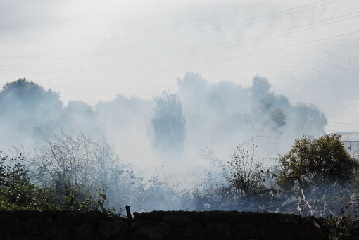 Cervo: 5mila metri di bosco in fumo quest'oggi vicino al villaggio 'Solemar' Cervo: 5mila metri di bosco in fumo quest'oggi vicino al villaggio 'Solemar'