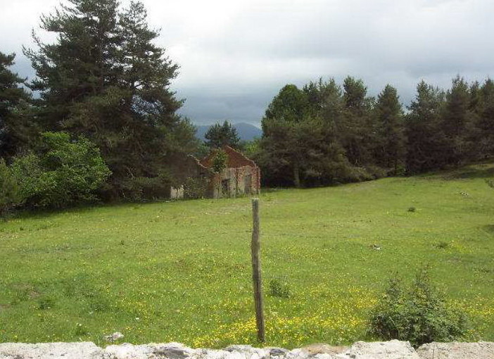 Triora: il 7 giugno scade l'asta per l'aggiudicazione di un'area e un immobile a colle Melosa Triora: il 7 giugno scade l'asta per l'aggiudicazione di un'area e un immobile a colle Melosa