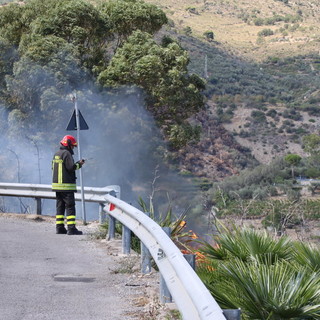 Terzorio: incendio di oggi pomeriggio, a fuoco 600 mq di palmeto, nessun danno a serre e abitazioni