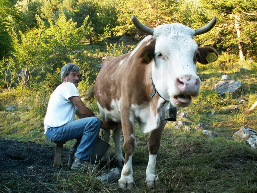 Ormea: pastori, custodi del nostro territorio, una giornata dedicata al pascolo gestito, tassello dell’ecologia e dell’economia locale
