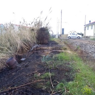 Albenga: incendio di un canneto vicino alla ferrovia, 40 minuti di stop per i treni e disagi anche nell'imperiese (Foto)