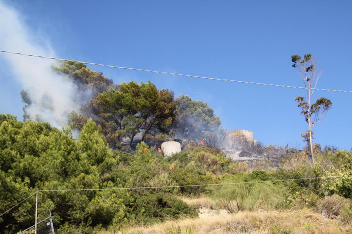 Camporosso: distrutti da un incendio 500 metri quadri di un uliveto, intervento dei Vigili del Fuoco Camporosso: distrutti da un incendio 500 metri quadri di un uliveto, intervento dei Vigili del Fuoco