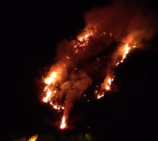 Incendio di ieri sera tra Chiusanico e Gazzelli sotto controllo: in arrivo l'elicottero e poi via alla bonifica Incendio di ieri sera tra Chiusanico e Gazzelli sotto controllo: in arrivo l'elicottero e poi via alla bonifica