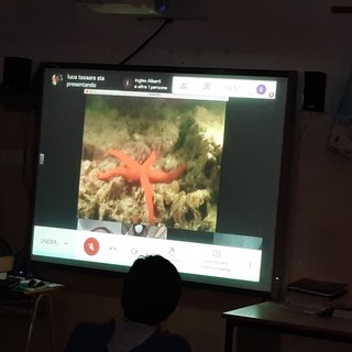 Sanremo: per i ragazzi del plesso “Italo Calvino” un'immersione virtuale nel mare di Portofino (Foto)
