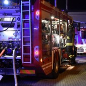 Albero cade sulla strada a Dolceacqua, intervento dei vigili del fuoco