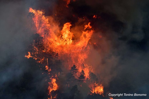 Incendi e siccità, l'appello di una serie di associazioni del Ponente