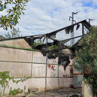 Camporosso: rogo di sterpaglie in un bidone 'scappa' a un agricoltore, serra parzialmente distrutta (Foto)