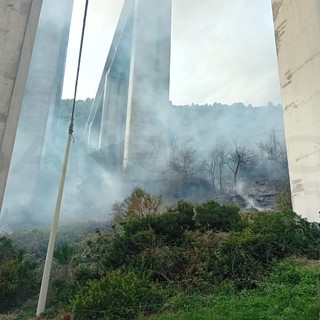 Vallecrosia, incendio di sterpaglie sotto il ponte dell'autostrada: salve le abitazioni (Foto e video) Vallecrosia, incendio di sterpaglie sotto il ponte dell'autostrada: salve le abitazioni (Foto e video)