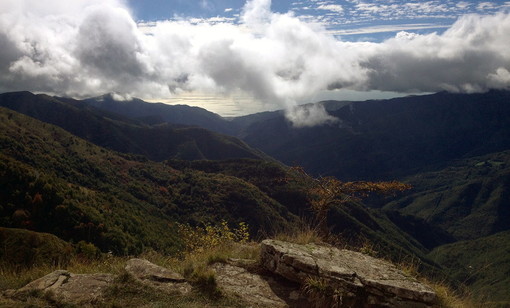 Il bosco delle Fate: domenica prossima un itinerario suggestivo, dalla faggeta alla radura alpina