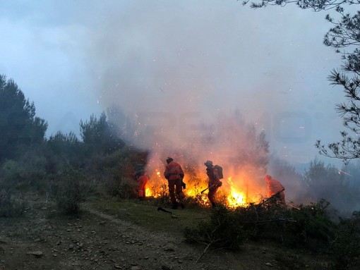 Dal 18 settembre cessa anche nella nostra provincia lo stato di grave pericolosità degli incendi boschivi Dal 18 settembre cessa anche nella nostra provincia lo stato di grave pericolosità degli incendi boschivi