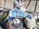 Spiaggia libera in zona Giunchetto piena di immondizia: lettrice chiede un intervento di pulizia