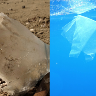 Il Soroptimist International Club di Sanremo promuove una Call for Students sul tema: “I nostri rifiuti: un mare malato”.