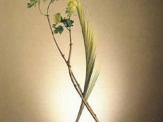 Ikebana di Jenny Banti Pereira Ikebana di Jenny Banti Pereira