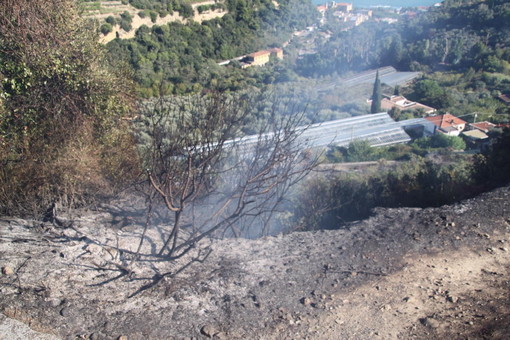 Stato di grave pericolosità per gli incendi boschivi: da questa notte divieto di accendere fuochi in tutta la regione
