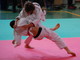Judo: ottimi risultati degli atleti dell'Ok Club di Imperia alle qualificazioni per gli 'Italiani' Judo: ottimi risultati degli atleti dell'Ok Club di Imperia alle qualificazioni per gli 'Italiani'
