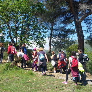 Mercoledì in Provincia convegno “Turismo-giardini-benessere. modelli di gestione per i giardini della rete Jardival” Mercoledì in Provincia convegno “Turismo-giardini-benessere. modelli di gestione per i giardini della rete Jardival”