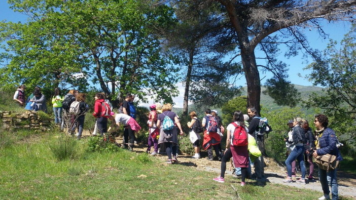 Mercoledì in Provincia convegno “Turismo-giardini-benessere. modelli di gestione per i giardini della rete Jardival” Mercoledì in Provincia convegno “Turismo-giardini-benessere. modelli di gestione per i giardini della rete Jardival”