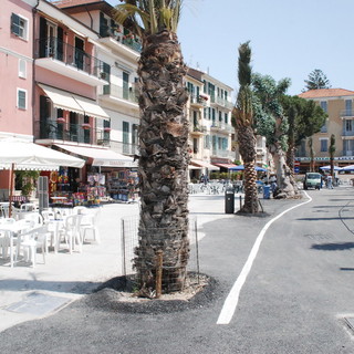 Taggia: lungomare e transito, Confcommercio nega "Nessun accordo col comune" Taggia: lungomare e transito, Confcommercio nega "Nessun accordo col comune"