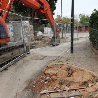 Sanremo: lavori e taglio degli eucaliptus in via Scoglio, nuovo intervento del locale comitato 'Pat' (Foto)