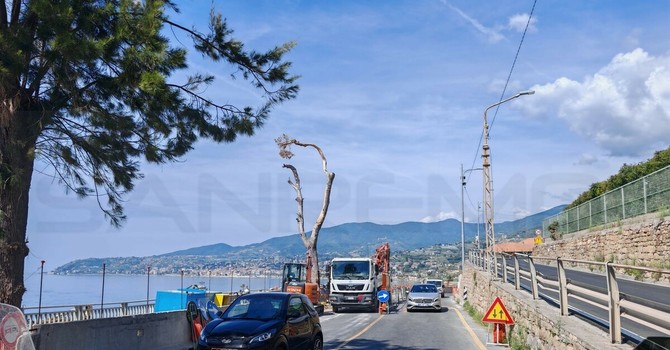 Sanremo, semafori della Vesca verso la rimozione: il cantiere Anas entra nella fase decisiva dopo cinque anni pieni Sanremo, semafori della Vesca verso la rimozione: il cantiere Anas entra nella fase decisiva dopo cinque anni pieni