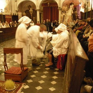 Sanremo: sabato prossimo al Museo Civico secondo incontro sulle piante mediterranee