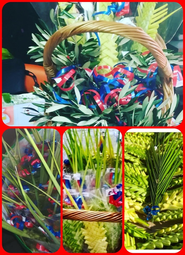 Ventimiglia: nel weekend banchetto di ACEB per la vendita di palme e rametti di ulivo Ventimiglia: nel weekend banchetto di ACEB per la vendita di palme e rametti di ulivo