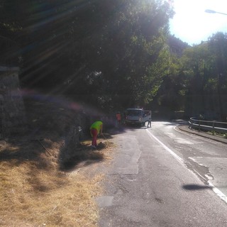 Pigna: terminati questa mattina i lavori di sfalciamento e pulizia della strada provinciale (Foto) Pigna: terminati questa mattina i lavori di sfalciamento e pulizia della strada provinciale (Foto)