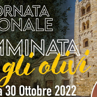 Taggia: domenica torna la ‘Camminata tra gli Olivi’, un percorso alla scoperta della storia del borgo e della cultivar taggiasca Taggia: domenica torna la ‘Camminata tra gli Olivi’, un percorso alla scoperta della storia del borgo e della cultivar taggiasca