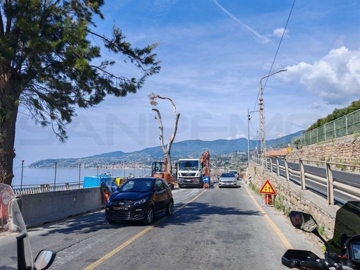 Sanremo, semafori della Vesca verso la rimozione: il cantiere Anas entra nella fase decisiva dopo cinque anni pieni Sanremo, semafori della Vesca verso la rimozione: il cantiere Anas entra nella fase decisiva dopo cinque anni pieni