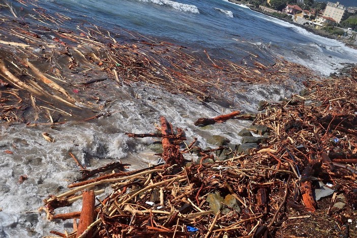 Camporosso: ordinanza del Sindaco, fino al 31 ottobre consentito prelevare il legno dalle spiagge Camporosso: ordinanza del Sindaco, fino al 31 ottobre consentito prelevare il legno dalle spiagge