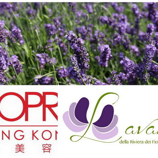 I prodotti della 'Lavanda della Riviera dei Fiori' alla 23a edizione di 'Cosmoprof Asia' ad Hong Kong I prodotti della 'Lavanda della Riviera dei Fiori' alla 23a edizione di 'Cosmoprof Asia' ad Hong Kong