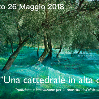 Dolcedo: sabato 26 maggio, giornata dal titolo 'Una Cattedrale in alta quota. Tradizione e innovazione per la rinascita dell’olivicoltura estrema' Dolcedo: sabato 26 maggio, giornata dal titolo 'Una Cattedrale in alta quota. Tradizione e innovazione per la rinascita dell’olivicoltura estrema'