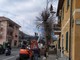 Ventimiglia: terminato lo sfalcio nella zona di Peglia e la potatura degli alberi a Roverino (Foto)