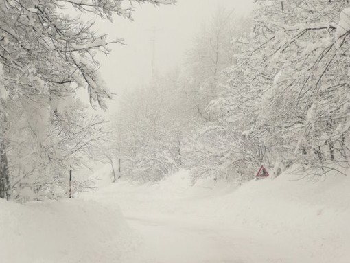 Vento forte sulla costa e neve nell'entroterra: coltre bianca a Monesi, sul Nava e sul Tenda Vento forte sulla costa e neve nell'entroterra: coltre bianca a Monesi, sul Nava e sul Tenda