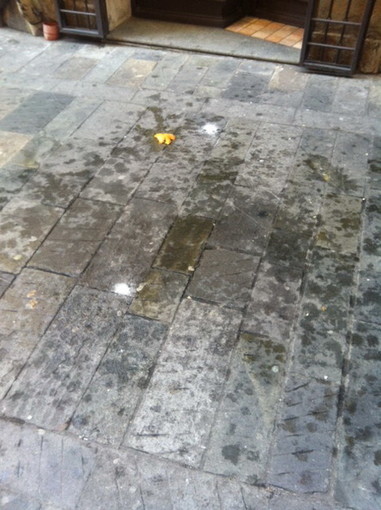 Sanremo: lancio di arance dalla finestra di casa in via Corradi, interviene la Polizia