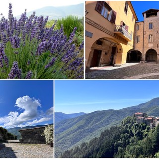 Lavanda e stelle protagoniste a Triora: venerdì giornata di festa con due iniziative