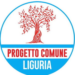 Progetto Comune interviene dopo le dimissioni di Toti: “Siamo pronti per la sfida delle elezioni regionali”