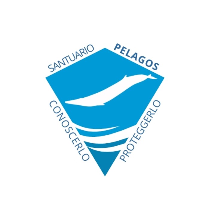 Il comune di Sanremo capofila per il progretto “Santuario Pelagos: conoscerlo per amarlo e proteggerlo”