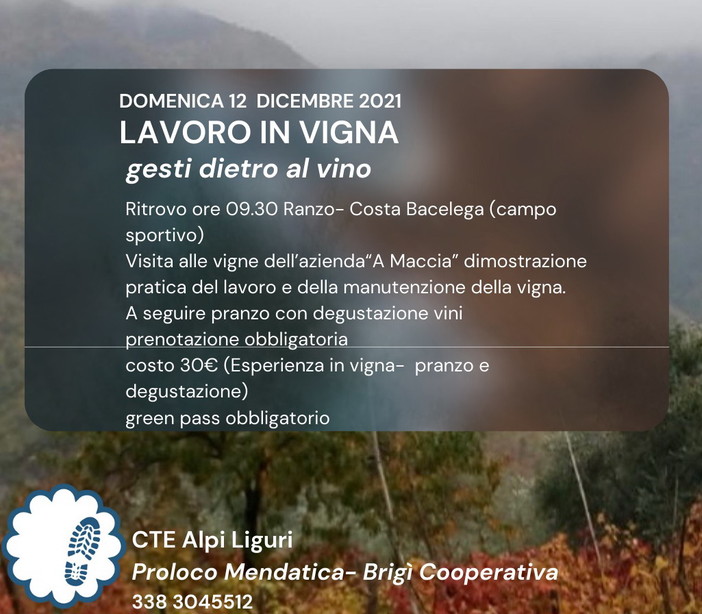 Mendatica: 'Lavoro in vigna', domenica prossima un'esperienza proposta del Cte e dalla Pro Loco