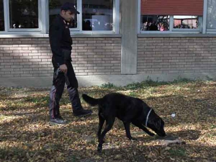 Ventimiglia: con il Labrador 'Joy' controlli dei Carabinieri antidroga all'istituto 'Enrico Fermi' di via Roma