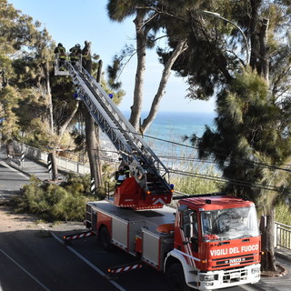Sanremo: terminato il lavoro dei Vvf alla 'Vesca' è iniziato quello della Rt, riapertura che slitta a domattina alle 12 (Foto) Sanremo: terminato il lavoro dei Vvf alla 'Vesca' è iniziato quello della Rt, riapertura che slitta a domattina alle 12 (Foto)