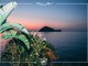 Le Vele di Alassio: questo il programma per venerdi 25 e sabato 26 maggio Le Vele di Alassio: questo il programma per venerdi 25 e sabato 26 maggio