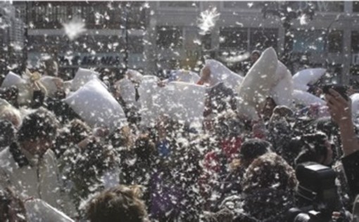 San Bartolomeo: sabato con i 'Goliardi dianesi' la sfida tra 'Lottatori con... i cuscini' San Bartolomeo: sabato con i 'Goliardi dianesi' la sfida tra 'Lottatori con... i cuscini'
