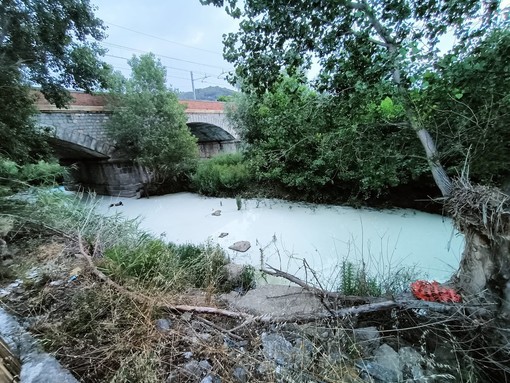 Liquame biancastro nell'Oasi del Nervia, i volontari: “Grave sversamento, il danno ambientale è incalcolabile" (Foto)